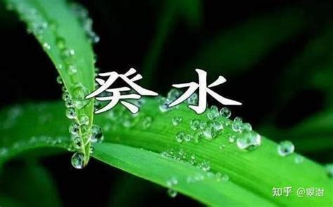 葵水命|十天干详解——癸水